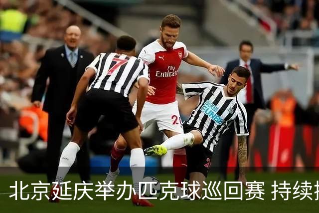 北京延庆举办匹克球巡回赛 持续擦亮户外运动城市名片